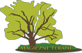 Magiczne-Terapie Magdalena Boratyńska Logo